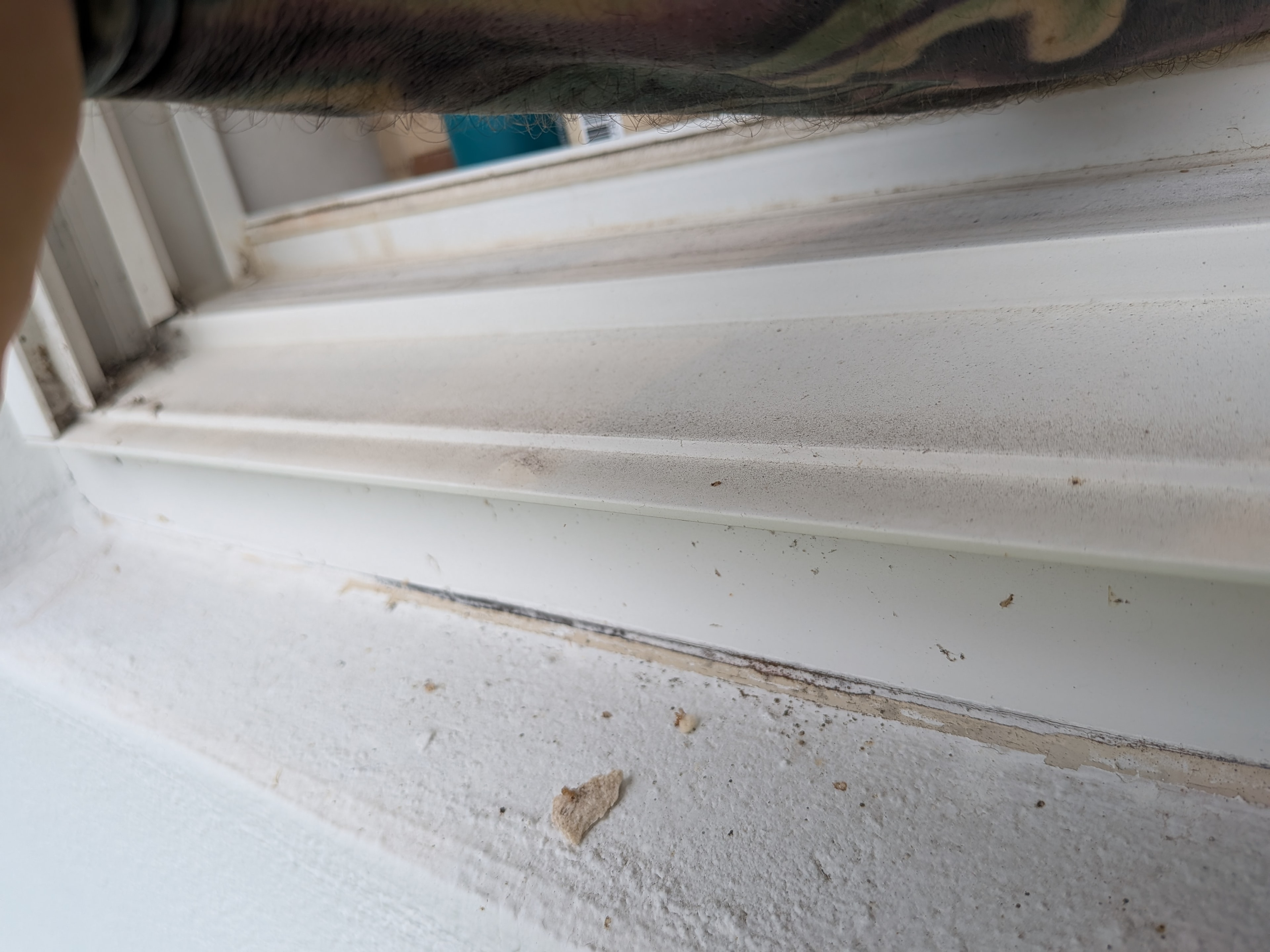 Dirty window sill needing cleaning